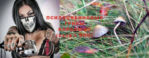 винт Богородицк